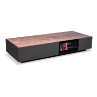 Cambridge_Audio_Evo_One